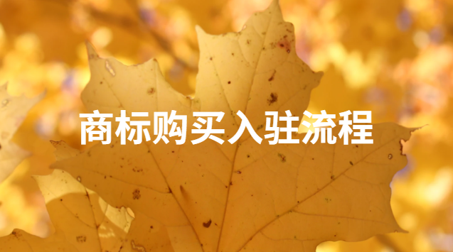 商標(biāo)購(gòu)買渠道(商標(biāo)購(gòu)買渠道一覽表)