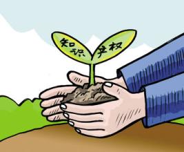 商標(biāo)續(xù)展才是保護(hù)商標(biāo)的優(yōu)質(zhì)之選？（已解決）