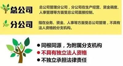 注冊子公司好還是分公司好，子公司和分公司有什么區(qū)別？
